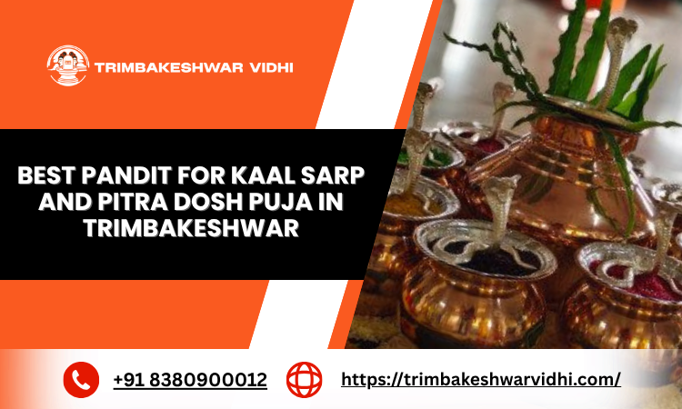 bestpanditforkaalsarpandpitradoshpujaintrimbakeshwar.png