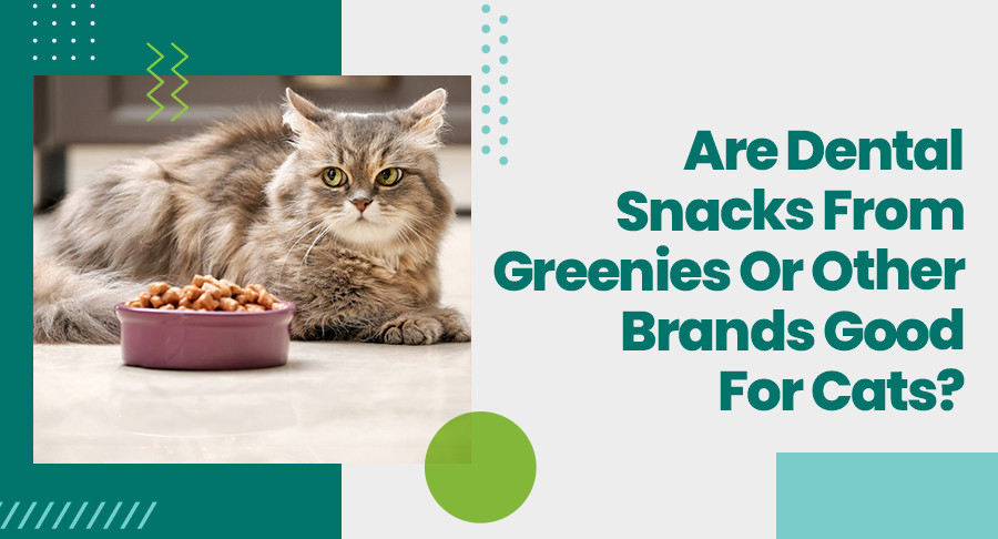 aredentalsnacksfromgreeniesorotherbrandsgoodforcats1.jpg
