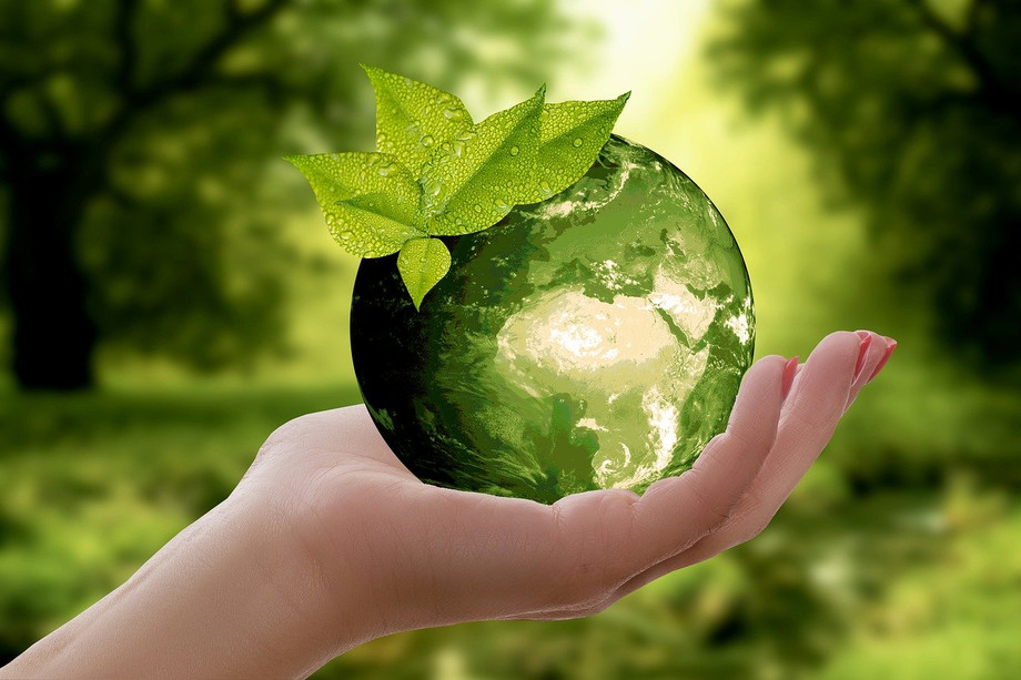 greencertification.jpg