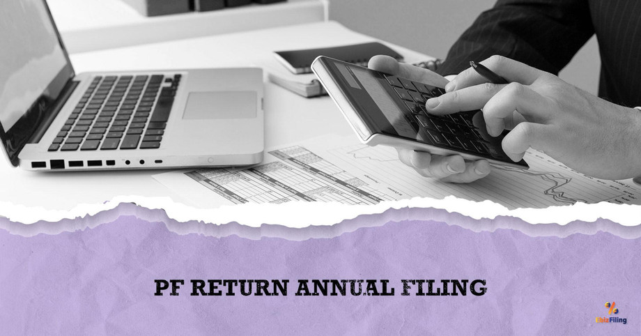 pfreturnannualfiling2048x1072.jpg