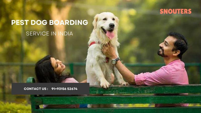 pestdogboardingserviceinindia.jpg