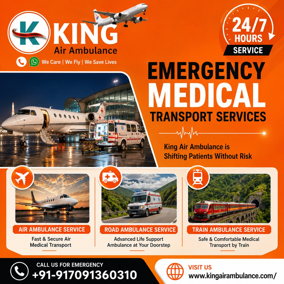 kingtrainambulanceinpatnahighestsafetyrecordsfortransportation08.jpg