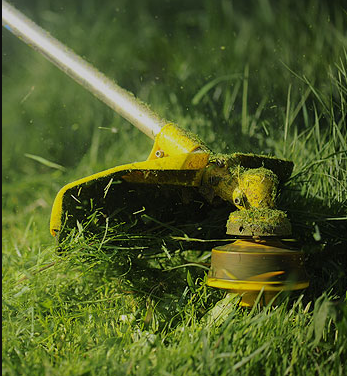 bestlawncareservice.png