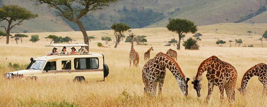 luxuryafricasafaritours.jpg