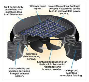 Skylights 2.png
