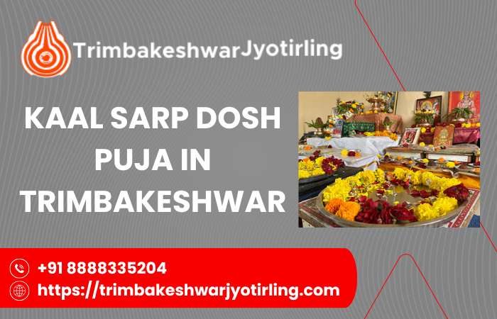 kaalsarpdoshpujaintrimbakeshwar.png