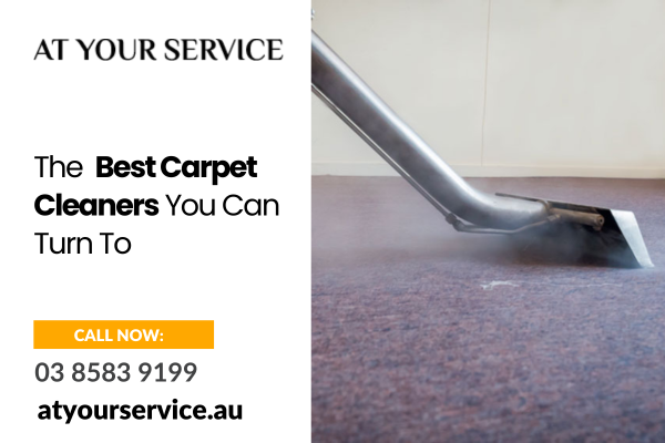 thebestcarpetcleanersyoucanturnto.png