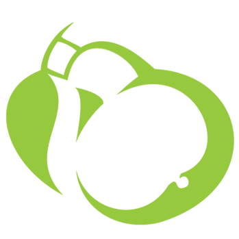 logo.png