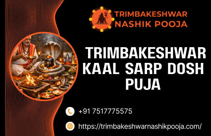 trimbakeshwarkaalsarpdoshpuja.png
