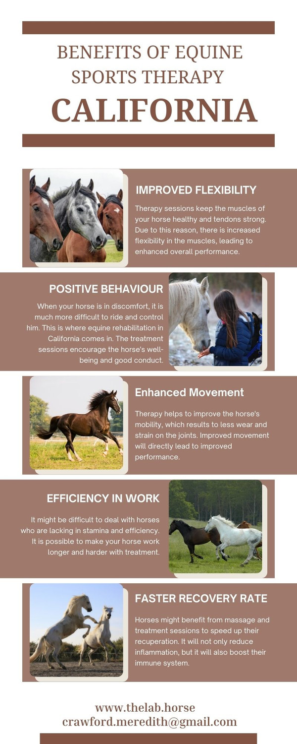 benefitsofequinesportstherapycalifornia.jpg