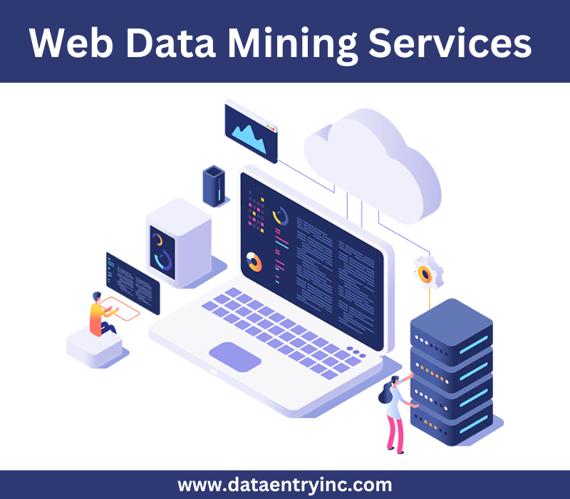 webdataminingservices2.png