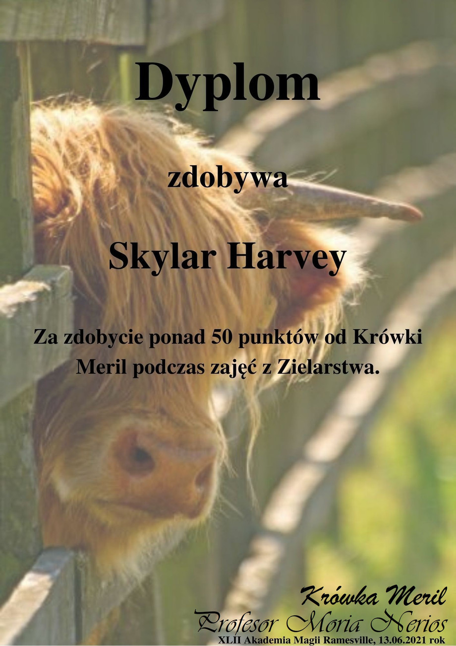 sky.jpg