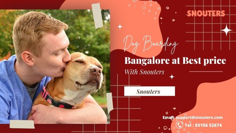 bestpetboardingserviceinbangalorewithsnouter.jpg