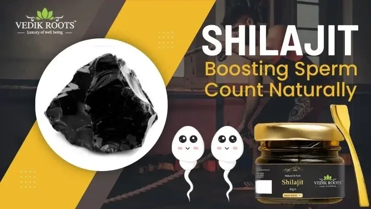 shilajit_boosting_sperm_count_naturally_1280x.webp