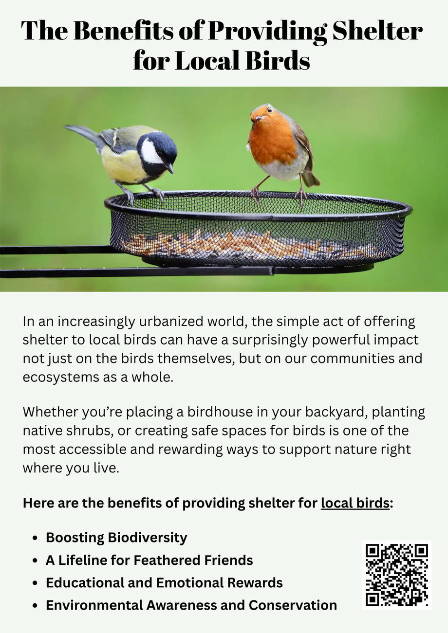 thebenefitsofprovidingshelterforlocalbirds.png