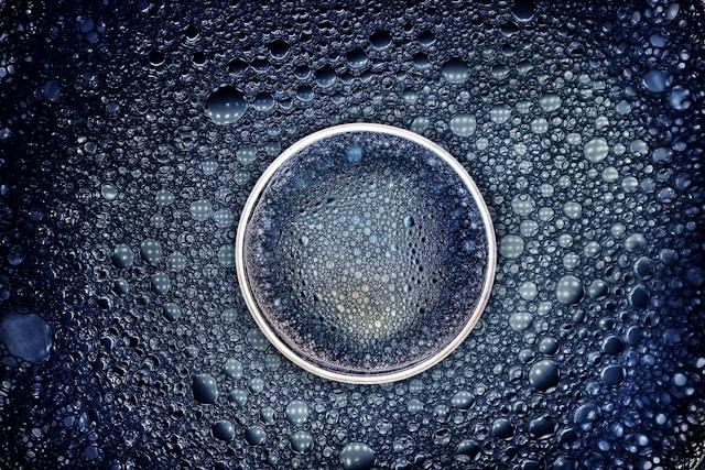 dibakarroyyeewbregss0unsplash.jpg