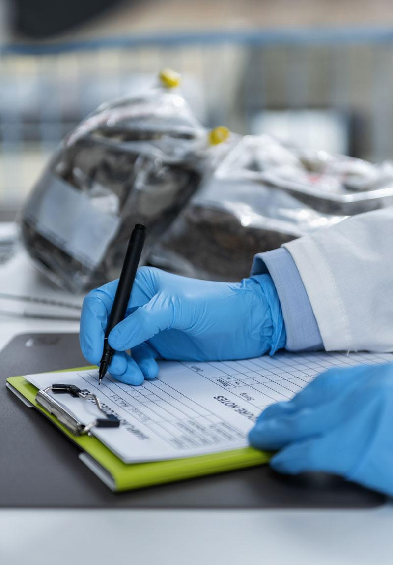 laboratory20241018090838utc.jpg