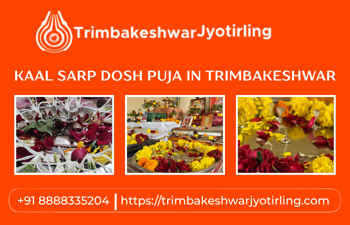 kaalsarpdoshpujaintrimbakeshwar.png
