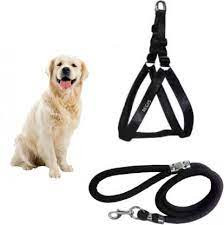 doublehharnessfordogsbyhaqihana.jpg