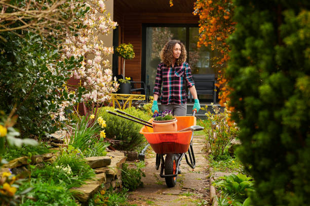 gardeningsuppliesinsingapore.jpg