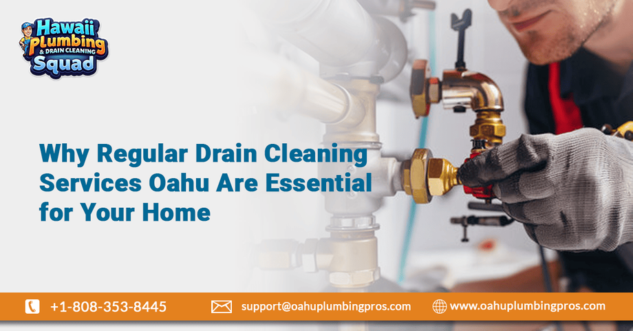 whyregulardraincleaningservicesoahuareessentialforyourhome1.png