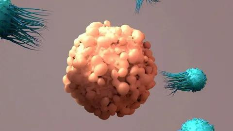 bcellmaturationantigenbcmatargetedtherapies.jpg