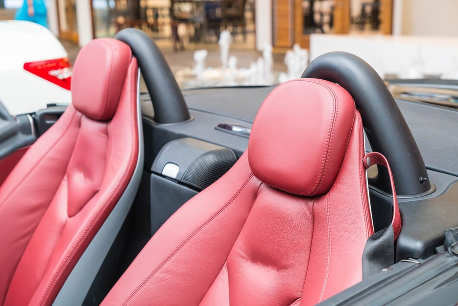 cushionmoderncar_13395504.jpg