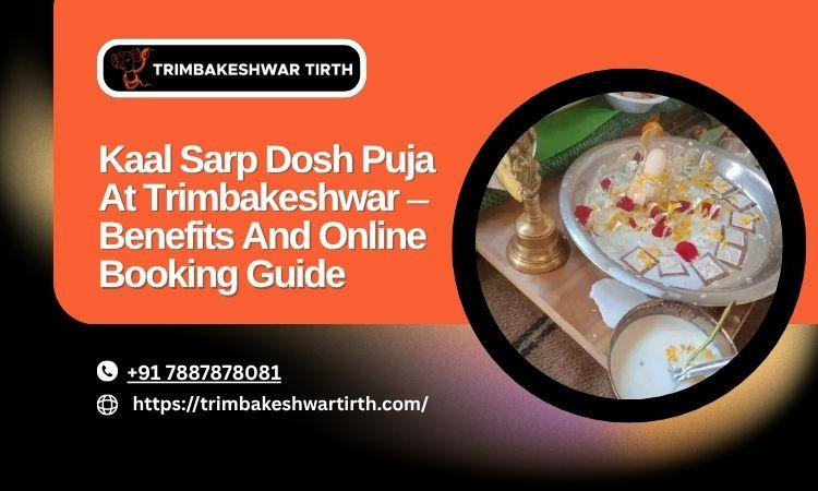 kaalsarpdoshpujaattrimbakeshwarbenefitsandonlinebookingguide.jpg