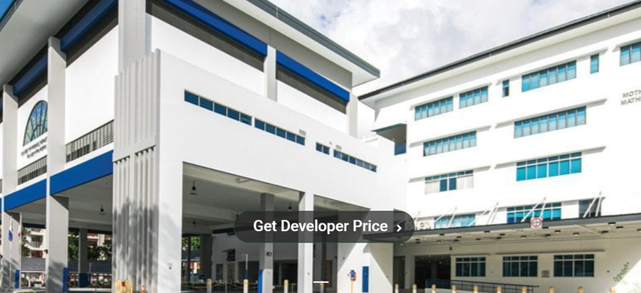https://linktown-residences.com.sg/