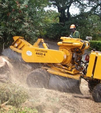 besttreeservices.jpg