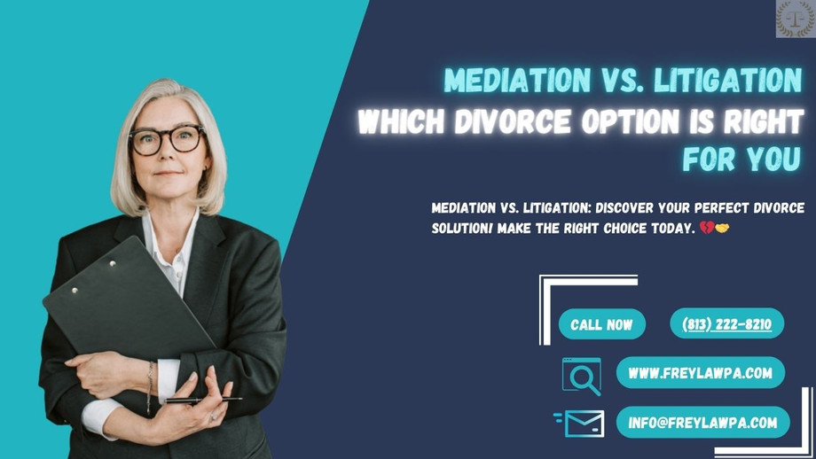 mediationvslitigation.jpg
