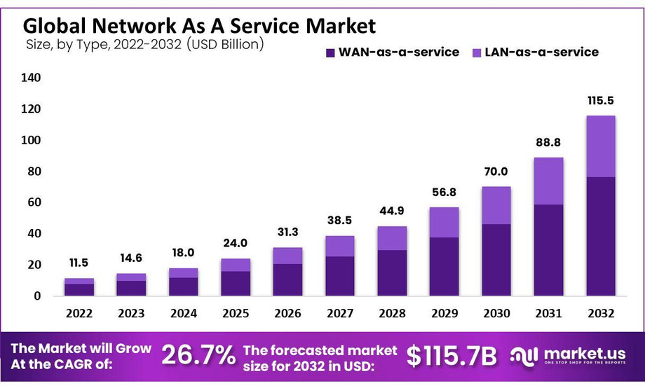 globalnetworkasaservicemarket.jpg