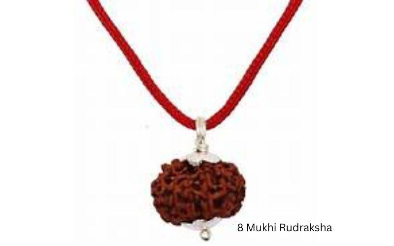 8mukhirudraksha2.jpg