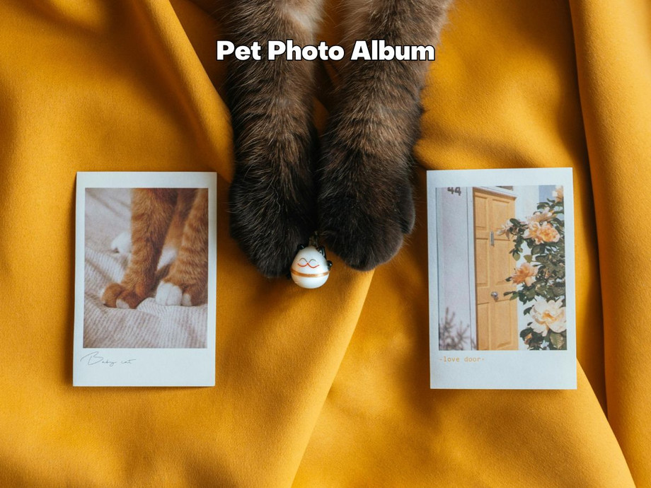 petmemorialideas3.jpg