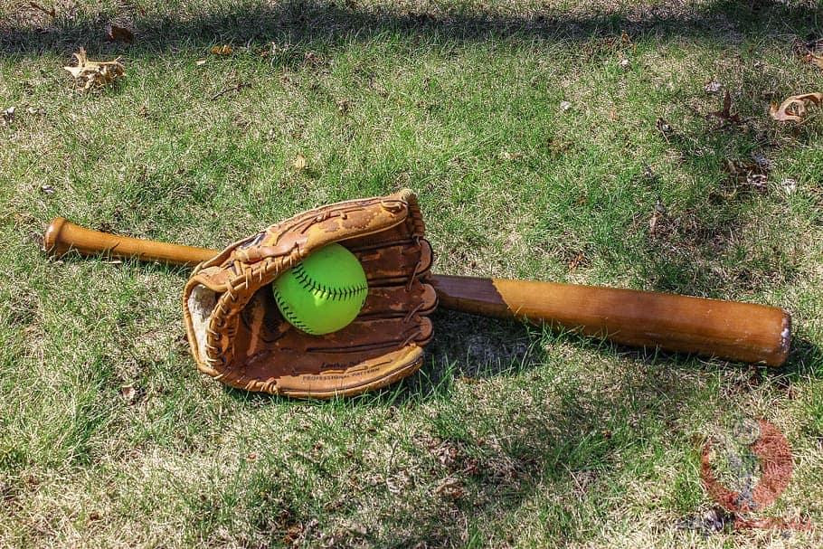 woodnaturegrasswoodenflorasoftball.jpg