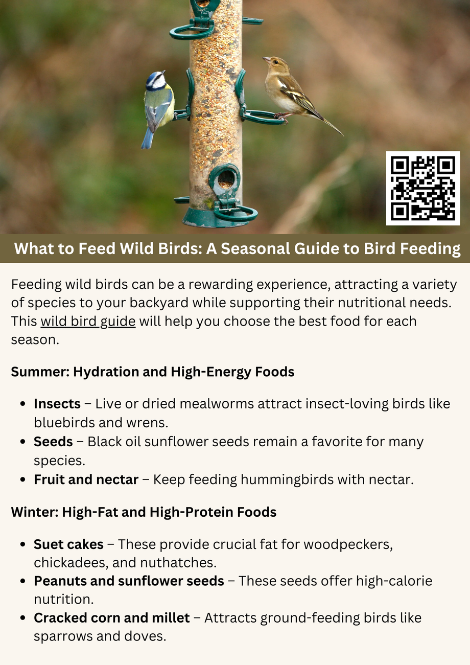 whattofeedwildbirdsaseasonalguidetobirdfeeding.png