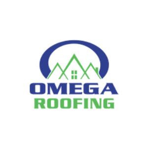 omegacleanupandroofinglogo.jpg