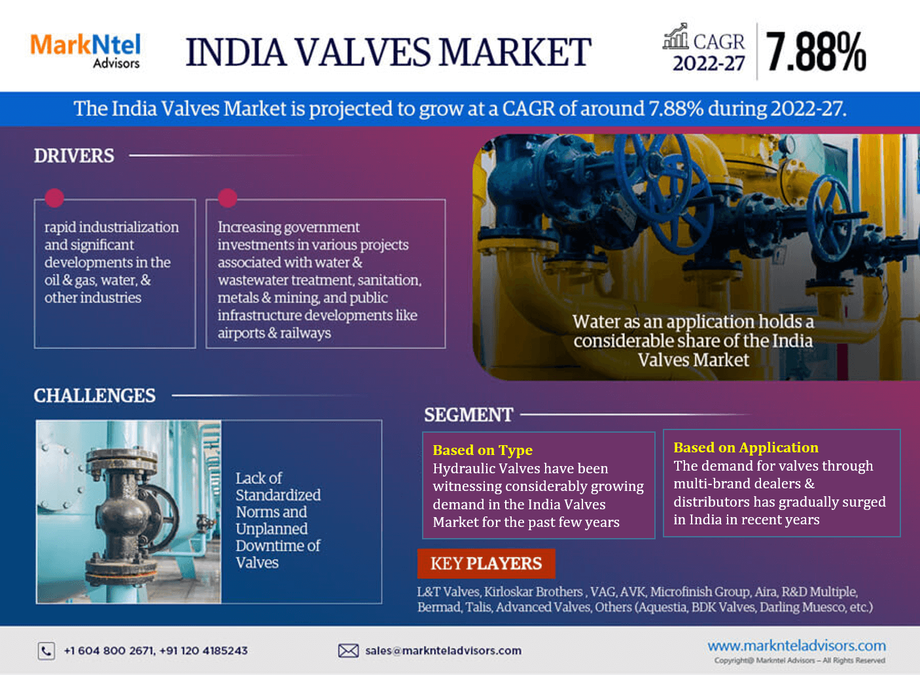 india_valves_market__infographics.png