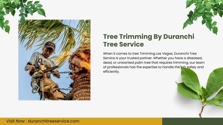treetrimmingbyduranchitreeservice.jpg