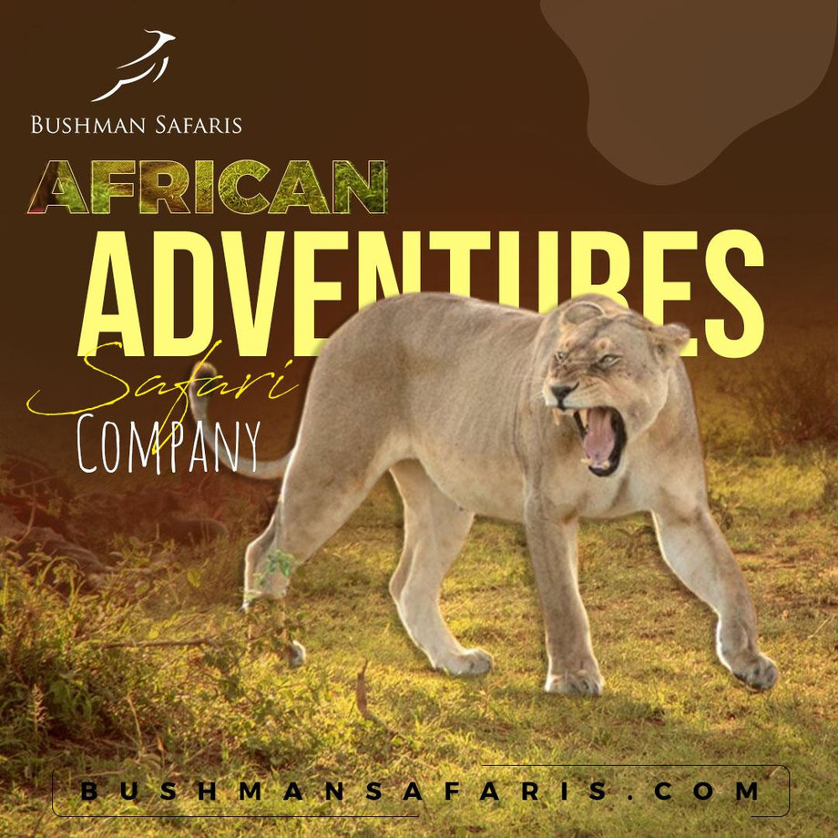 africanadventuressafaricompany.jpg
