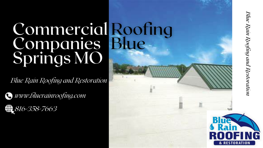 sierralanearchitects.png