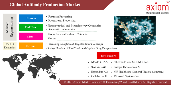 antibodyproductionmarket.png