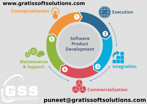 Software development service Chandigarh - Imgur.jpg