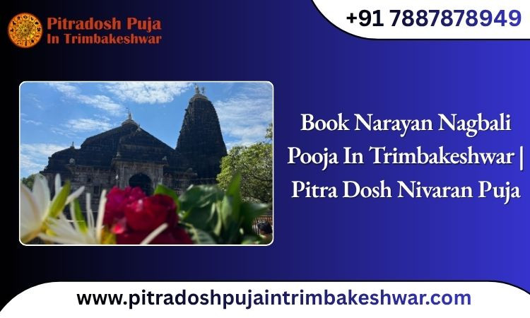 booknarayannagbalipoojaintrimbakeshwarpitradoshnivaranpuja.jpg