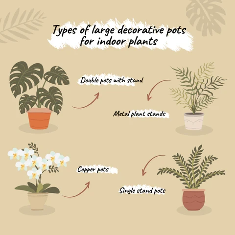 types_of_large_decorative_pots_for_indoor_plants_480x480.webp