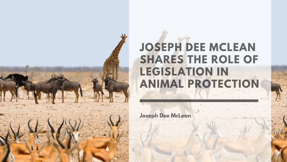 josephdeemcleansharestheroleoflegislationinanimalprotection.jpg