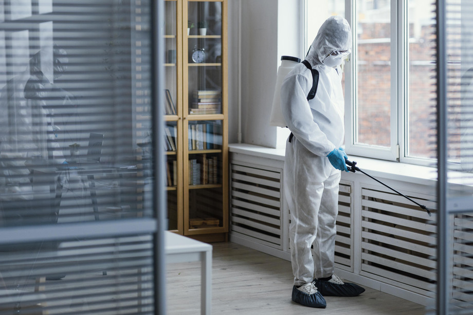 pestcontrolserviceinraipur.jpg