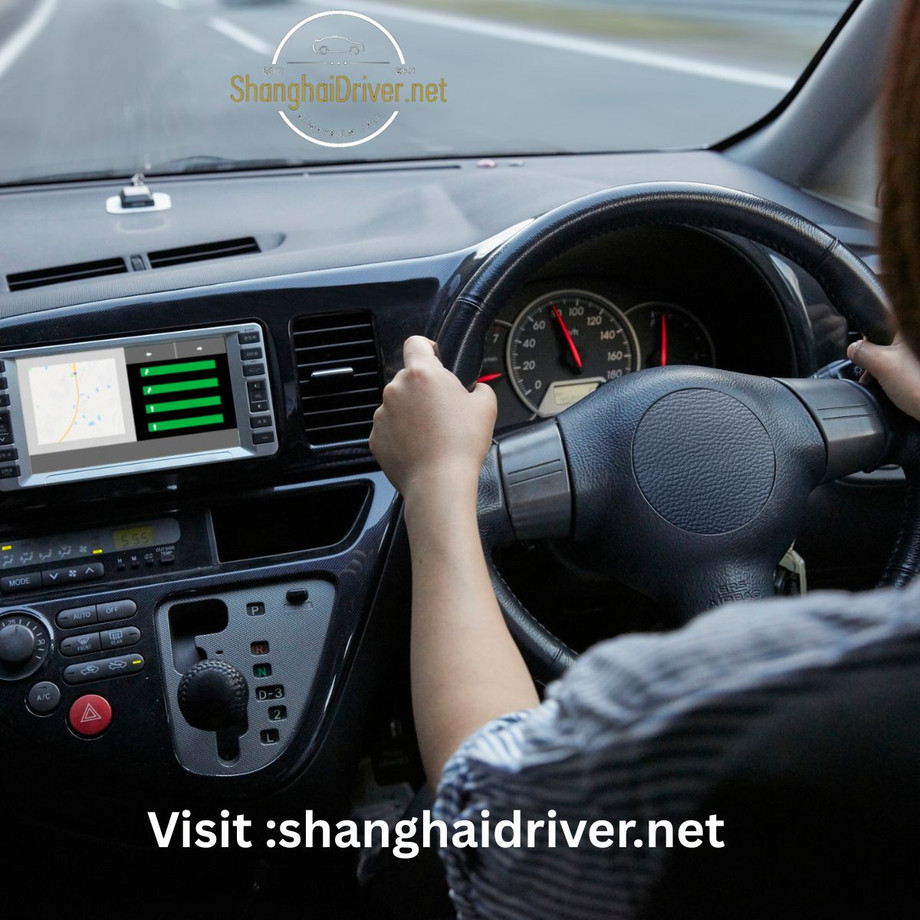shanghaidriverserviceshanghaidrivernet.jpg