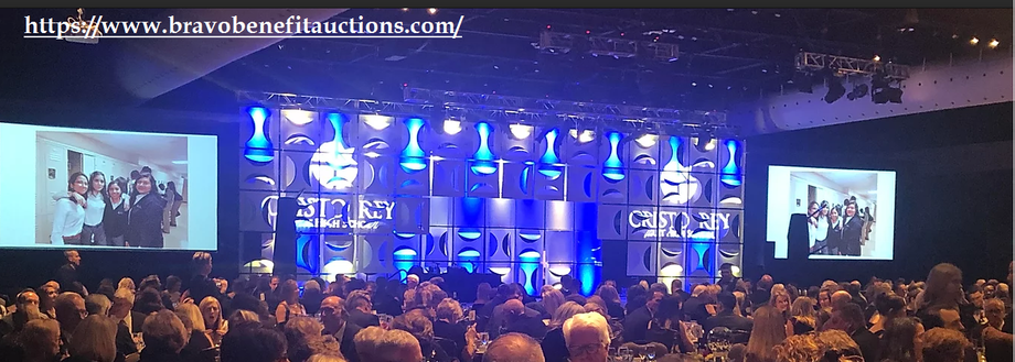 benefitauctionspecialist.png
