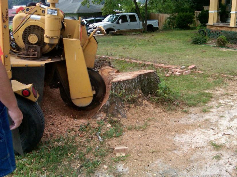 Stump grinding..jpg